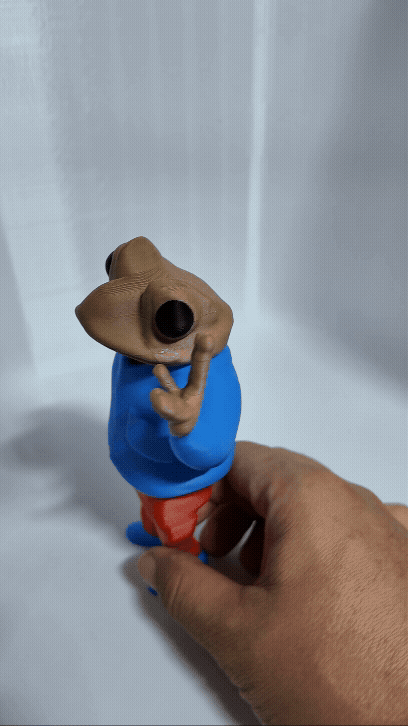 Figura Sapo Concho
