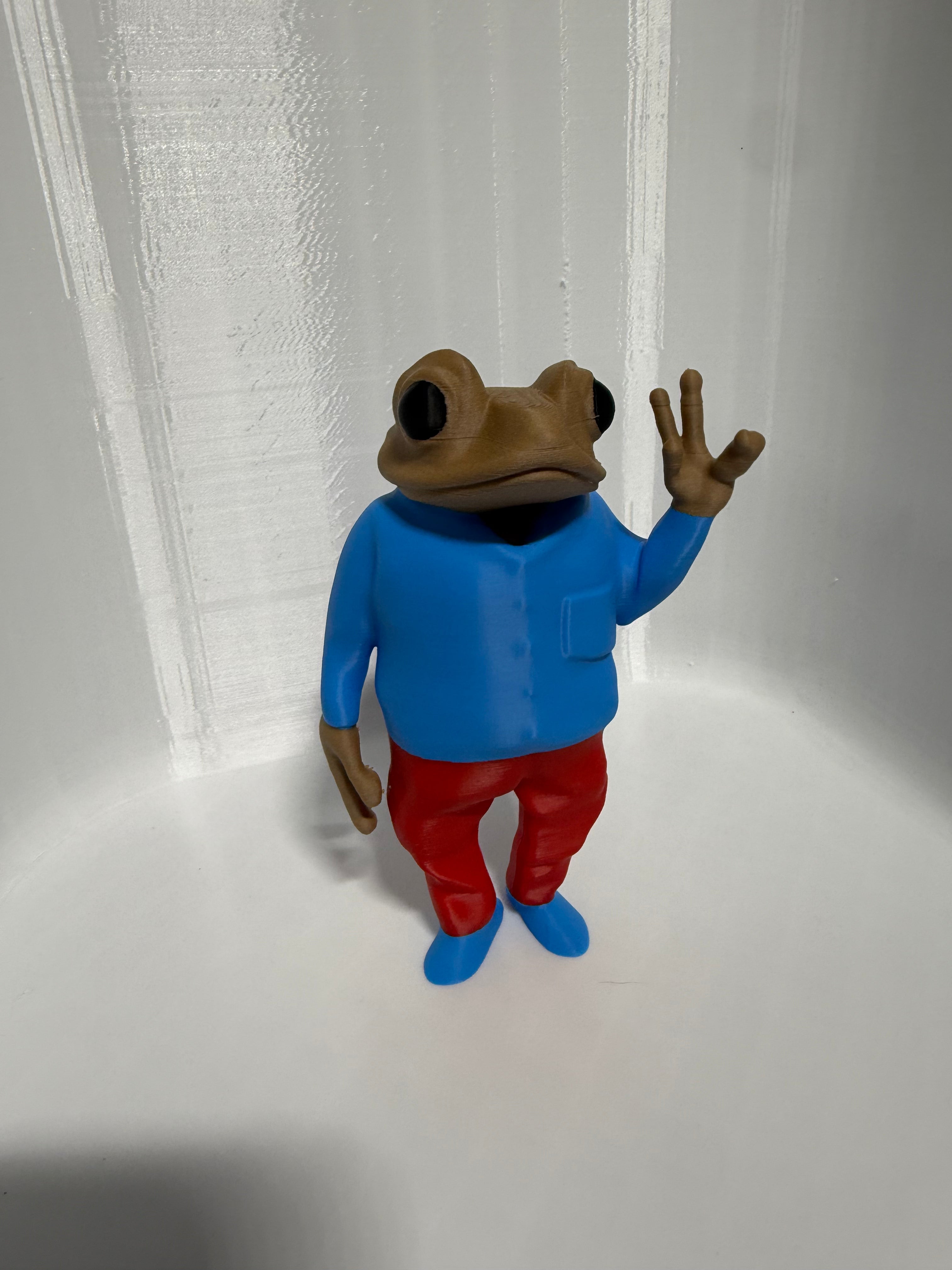 Figura Sapo Concho