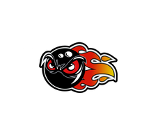 Fire Ball sticker 3x2-1